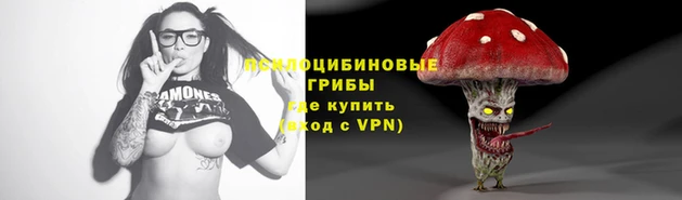 ПСИЛОЦИБИНОВЫЕ ГРИБЫ Алзамай