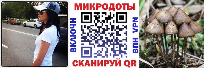 блэк спрут ссылка  что такое   Еманжелинск  Псилоцибиновые грибы Psilocybe 
